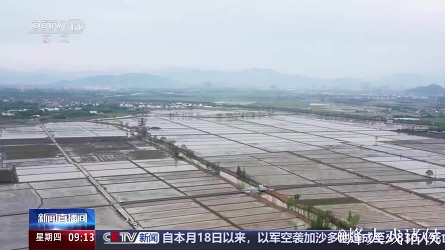 全国已春播粮食3500多万亩 全国已春播粮食3500多万亩