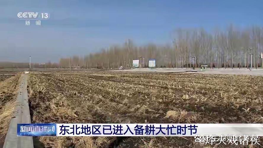 全国已春播粮食3500多万亩 全国已春播粮食3500多万亩