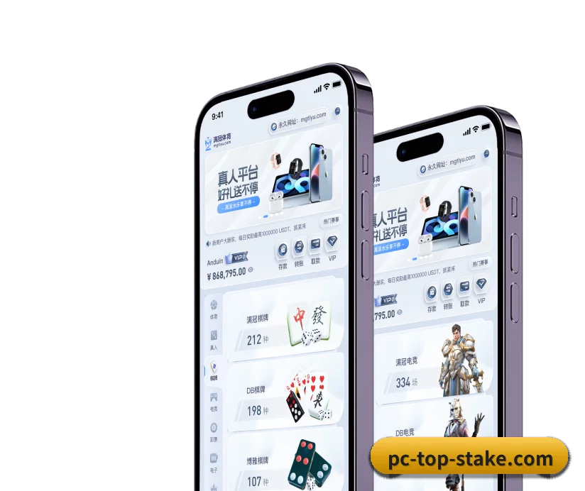 Stake APP 界面